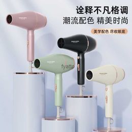 Electric Hair Dryer hair dryer household high wind constant temperature hotel blue light high-speed H240412