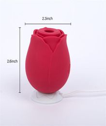 Silicone Rose Shape Vagina Sucking Vibrator Intimate Good Nipple Sucker USB Clitoris Stimulation Powerful Toys for Women Q0515305A7561514