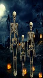 36 Inch Halloween Prop Full Size Skeleton Skull Hand Lifelike Human Body Poseable Anatomy Model Party Festival Decor Y2010063812650