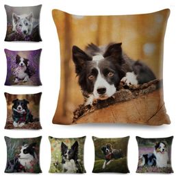 Pillow Scotland Border Collie Case Decor Pet Animal Dog Printed Cute Cover For Sofa Home Polyester Pillowcase 45