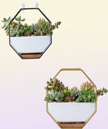 Hanging Succulent Flower Pots Ceramic Flowerpots Stand Holder Black Gold Iron Rack Bamboo Tray Desktop Geometric Cactus Planter Y27803255