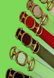 Luxurys Designers Belts For Woman Buckle Width 25cm Cowhide Leather 7colors Belt Gold Needle Buckle Letter G 221206037706090