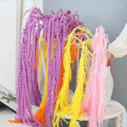 Decorative Flowers 5pcs Home Wedding Decoration Preserved Dried White Bleached Hanging Amaranthus For Floral Arrangement DIY Decor