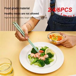 Chopsticks 2/4/6PCS Metal Solid Color Easy To Disinfect Clean Comfortable Handling Unique Design Gifts For Foodies