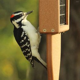 Other Bird Supplies Kettle Moraine Recycled Plastic Double Suet Cake Tail Prop Feeder With Hanging Cable