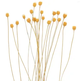 Decorative Flowers 20 Pcs Replaceable Rattan Diffuser Fragrance Sticks Essential Oil
