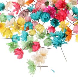 Decorative Flowers Dried DIY Pressed Crafts Decorate Materials Dry Making Nails Resin