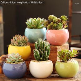 Vases Flower Pots Creative Coloured Balls Succulent Ceramic Tea Table Office Gardening Potted Ornaments
