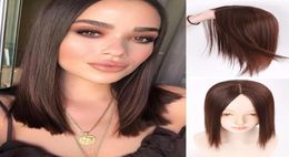 Synthetic Wigs LANLAN Women Clip In Hair 3 Clips Topper Natural Straight Black Brown Fake Hairpiece Tobi226823845