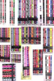 500 styles whole new popular sports straps Keychain Key Chain ID Badge cell phone holder Neck lanyard 1000pcs5479936