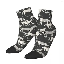 Men's Socks Retro Drawing Of Horse The Pretty Horses Ankle Male Mens Women Spring Stockings Printed