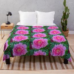 Blankets Lovely Pink Rose Throw Blanket Thin Travel Sofas Of Decoration Hair