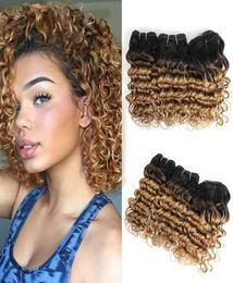 Ombre Weave Bundles Brazilian Deep Wave Curly Hair 810 Inch 3pcsSet For Full Head 166gSet4402835