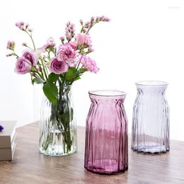 Vases Glass Vase European Plant Holder Living Room Decoration Flower Arrangement Hydroponic