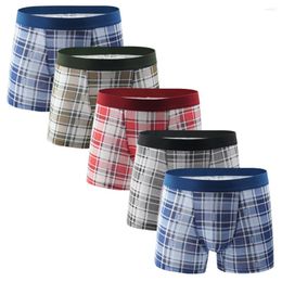 Underpants 5pcs Men Boxer Cotton Male Underwear Men's Breathable Striped Flexible Shorts Boxers Mens Panties