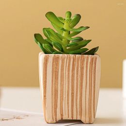 Vases 2Pcs Ceramic Succulent Flower Pot Small Pots Cactus Container