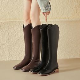 Boots Winter Concise Retro Style Sewing Women Shoes Low Heel Ladies Ankle Leisure Brown Black Long Botas Square Toe Drop Ship