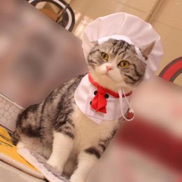 Dog Apparel Cats And Dogs Pet Clothing Funny Chef Into Clothes Hat Suit Poodle Outfits For