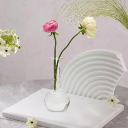 Vases Flower Vase Hydroponic Plant Glass Bottle Desktop Planter For Bookshelf