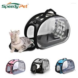 Cat Carriers Transparent Pet Carrier Travel Bag For Small Dogs And Cats Foldable Kennel Portable Carry Handbag Zipper Opening