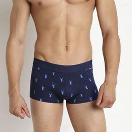 Underpants Pink Heroes Male Underwear Men Boxers Homme Soft Cotton Boxer Sexy Panties Trunks