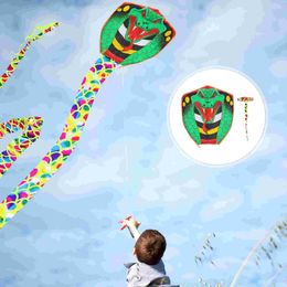 Large Long Snake Kite Handmade Serpent Kite with Long Tails Outdoor Fun Sports