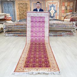 Carpets 3'x10' Handmade Silk Lobby Hallway Carpet Gallery Oriental Rug Runner (TJ578A)