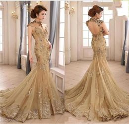 2020 New Sexy Backless High Neck With Capped Short Sleeves Champagne Long Evening Gowns Zuhair Murad Mermaid Lace Formal Dresses E3370264