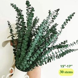 Decorative Flowers 30Pcs Natural Dried Eucalyptus Plant Real Branches Leaves For Arrangement Wedding Home Party Decor