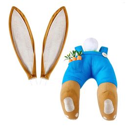 Decorative Figurines Front Door Easter Wreath BuAnd Ears For Spring Diy Decorations Wreaths Kit Holiday Home