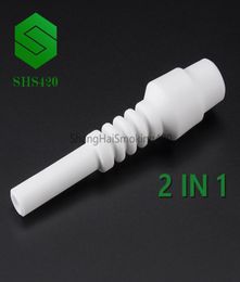 Ceramic Tip 2 IN 1 NC Ceramic Nail Food Grade 18mm 14mm Male Replacement For Nector Collector Kits Ceramic Nails Whole5514232