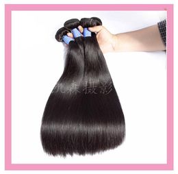 Indian Raw Virgin Human Hair 3 Bundles 1030inch Straight 9A Double Hair Wefts Straight Natural Colour 3 Bundles9096369