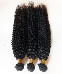 Wet and Wavy Brazilian Human Hair Bundles Kinky Curly Factory whole and retail truly Peruvian Malaysian Indian hair weft No Ta3489486