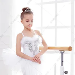 Stage Wear Ballet Costumes Little Swan Dances Children's Puffy Gauze Skirts