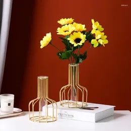 Vases Iron Golden Vase Ornament Living Room Table Decoration Hydroponic Glass Simple Small Home