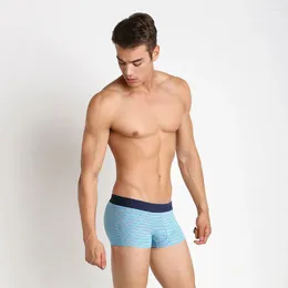 Underpants Sexy Man Brand Underwear Men Boxer Printed Rack Cotton Comfortable Panties Short Flat Angle Cueca Masculina