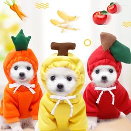 Dog Apparel 2024 Warm Winter Clothes Cute Fruit Coat Hoodies Fleece Pet Costume Clothing For Chihuahua York Dogs Ropa Perro