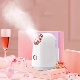 Spray Face Steamer Moisturizing Face Mister. Facial Steamer Mini Face Nano Ionic Mist Face Humidifier Fo. Z2 240409