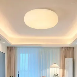 Ceiling Lights Nordic Oval Light Bedroom Modern Restaurant Romantic Atmosphere Lighting Dimmable