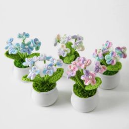 Decorative Flowers Handmade Simulation Flower Small Potted Plant Hand Woven Ornament Knitting Home Wedding Party Decoration Office Table Pot
