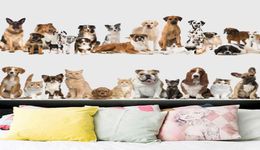 retail 6090cm cartoon animal home decor wall stickers cat dog skirting wall sticker bedroom background decoration waterproof stic9792394