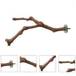 Other Bird Supplies 1pc Parrot Standing Rod Training Toy Wood Branch Plaything (Random Style)