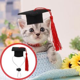 Dog Apparel 2 Pcs Elastic Doctorial Hat Pet Supply Creative Graduation Men Black Suit The Party Clothing Doctoral Caps Felt Man Bonnet