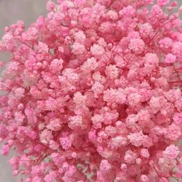 Decorative Flowers 100g Natural Fresh Dried Gypsophila Wedding Decoration Arrangement Baby Breath Gifts For Guests Pampas Grass