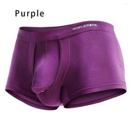 Underpants Men Boxer Male Underwear Gay Men's Clothing Boxershort Breathable Separation Scrotum Physiological