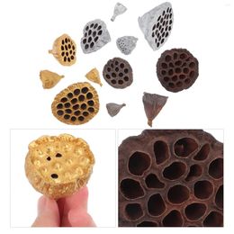 Decorative Flowers 12 Pcs Rustic Decor Dried Lotus Flower Unique Home Adornment Scene Props Pod Special Craft Gift Desktop