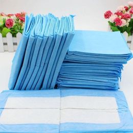 Dog Apparel Thickening Absorb Super 20 Pieces Training Water Pets Accessories Puppy Pads Diapers Mat Pee