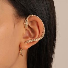 Small Snake Winding Earrings Female Vintage Creative Tide Male Couples Niche Design Sense AB143