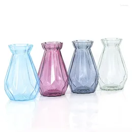 Vases 1piece Plant Transparent Glass Vase DIY Desktop Decoration Nordic Minimalist Style Simulation Flower Container Hydroponic