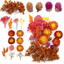 Decorative Flowers Epoxy Dried Fower Real Flower Leaves Natural Bouquet For DIY Jewellery Crafts Nail Art Scrapbooks